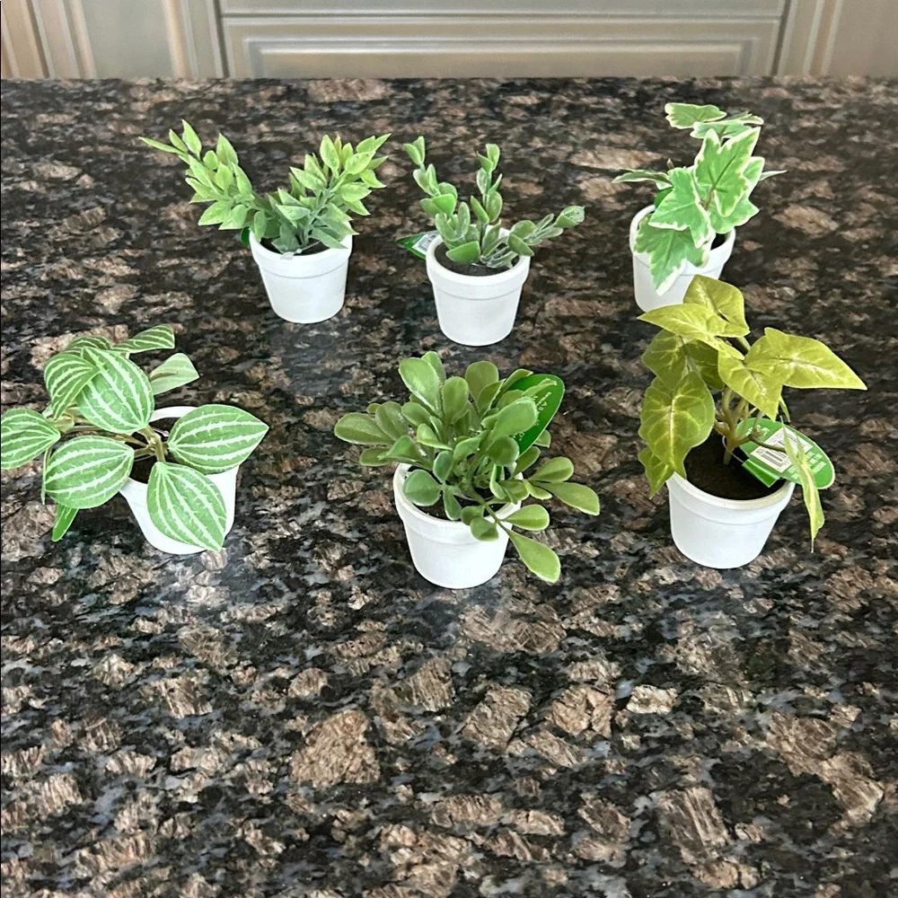 ASHLAND GREEB FAUX MICRO PREMADE PLANTA LOT OF 6 NWT
